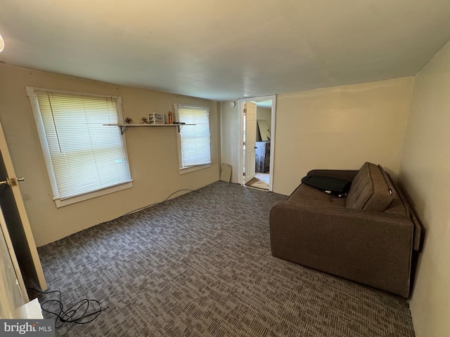 226 E Snyder Ave, Lansford, PA 18232 - sitting room with carpet flooring