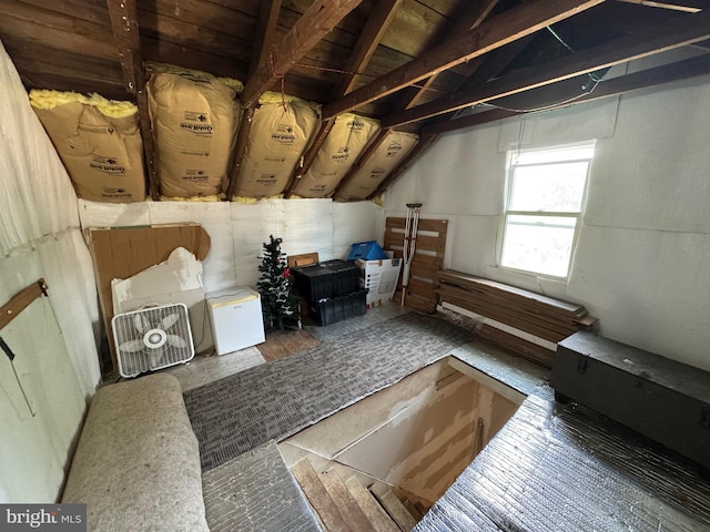 226 E Snyder Ave, Lansford, PA 18232 - view of attic