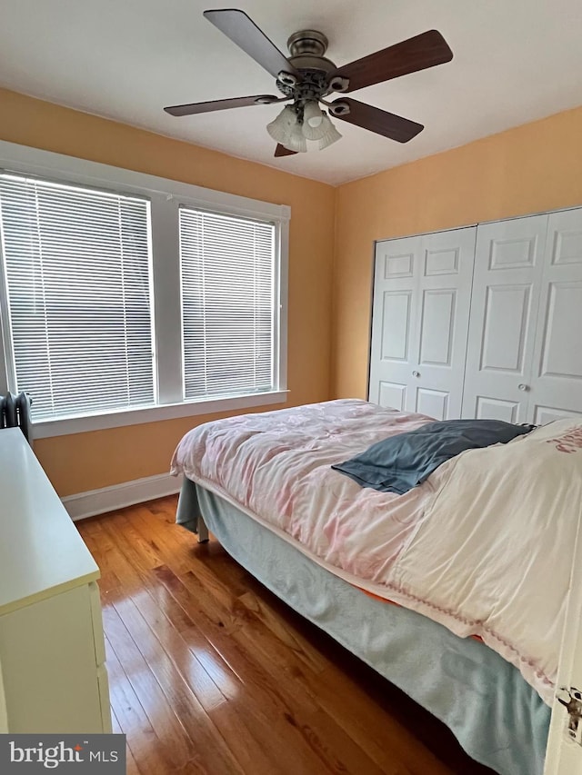 7033 Gillespie St, Philadelphia, PA 19135 - bedroom with light wood-style floors, a closet, ceiling fan, and multiple windows