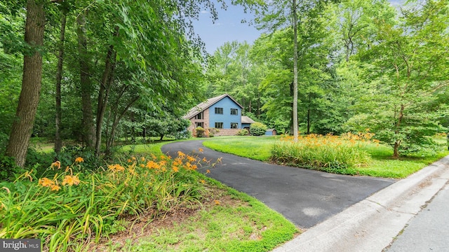 26972 S Tourmaline Dr, Hebron, MD 21830 - view of front of property featuring a wooded view and driveway