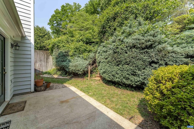 1470 Willow Lake Dr, Charlottesville, VA 22902 - view of yard with a patio