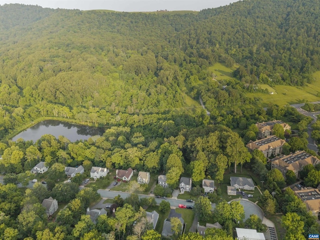 1470 Willow Lake Dr, Charlottesville, VA 22902 - view of property location with a heavily wooded area and a large body of water