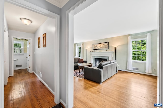 2402 Bennington Rd, Charlottesville, VA 22901 - corridor with light wood-style floors and baseboards