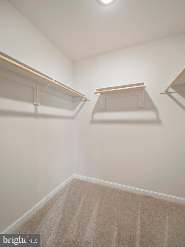 38 Preening Rd, Hedgesville, WV 25427 - walk in closet with carpet floors