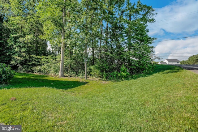 40534 Miss Ettas Way, Leonardtown, MD 20650 - view of green lawn