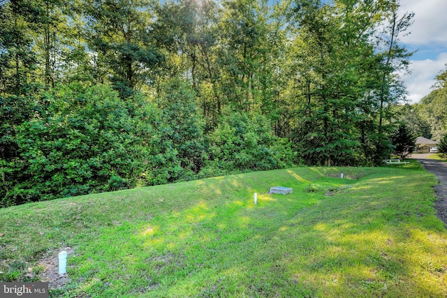 40534 Miss Ettas Way, Leonardtown, MD 20650 - view of grassy yard