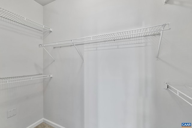 945 Dorchester Pl Unit 306, Charlottesville, VA 22911 - view of walk in closet