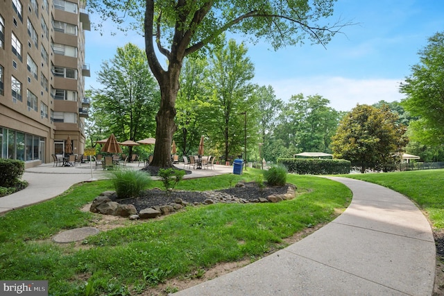 1030 E Lancaster Ave Unit 806, Bryn Mawr, PA 19010 - surrounding community featuring a yard and a patio