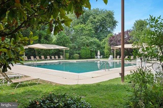 1030 E Lancaster Ave Unit 806, Bryn Mawr, PA 19010 - community pool featuring a patio and a gazebo