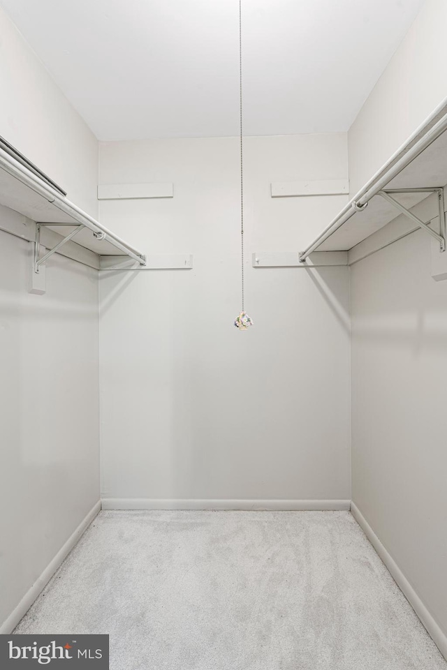 19 Juliet Ln Unit 103, Baltimore, MD 21236 - spacious closet featuring carpet flooring