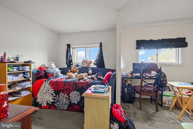 65 Silverspruce Rd, Levittown, PA 19056 - view of carpeted bedroom