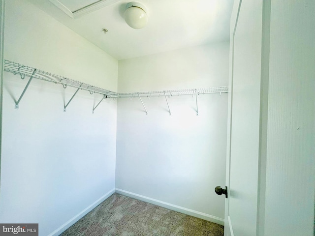 7120 Beaumont Pl, Hanover, MD 21076 - walk in closet with light carpet