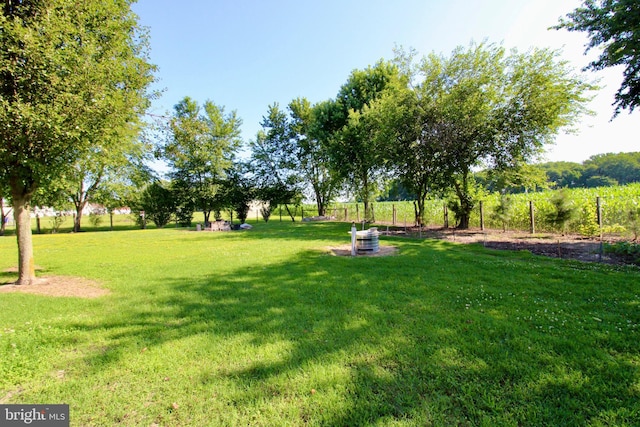 6535 Gravel Branch Rd, Hurlock, MD 21643 - view of grassy yard