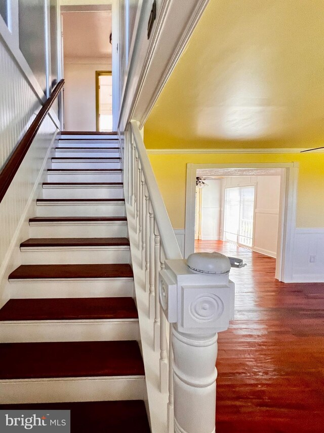 6535 Gravel Branch Rd, Hurlock, MD 21643 - staircase featuring wood finished floors and a wainscoted wall