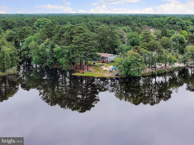 6 Shore Cir, Browns Mills, NJ 08015 - aerial view of property and surrounding area with a large body of water