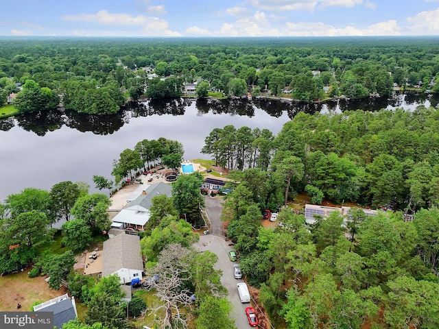 6 Shore Cir, Browns Mills, NJ 08015 - drone / aerial view of a forest and a large body of water