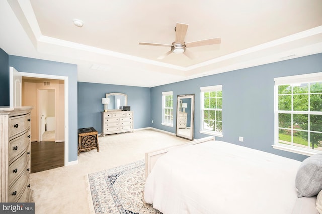 106 Pear Blossom Rd, Stafford, VA 22554 - bedroom with a raised ceiling, carpet floors, and access to outside
