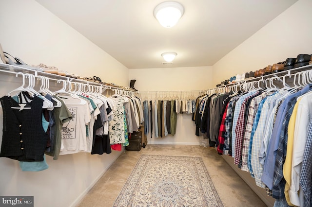 106 Pear Blossom Rd, Stafford, VA 22554 - walk in closet featuring carpet floors