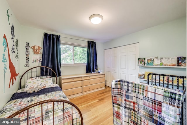 13000 Daley St, Silver Spring, MD 20906 - bedroom with light wood-type flooring and a closet