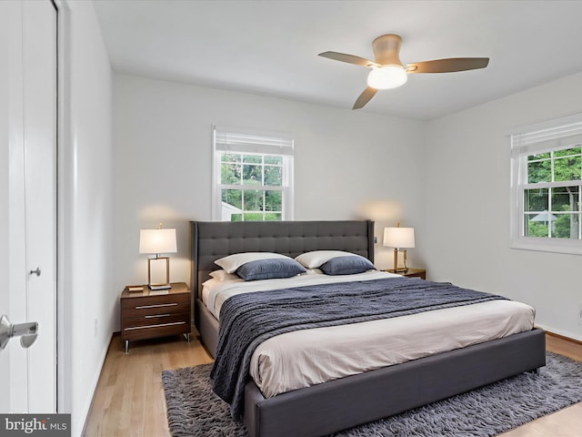 5415 Juliet St, Springfield, VA 22151 - bedroom with multiple windows, light wood-style floors, and ceiling fan