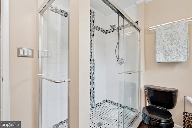 4133 Dana Ln, Lafayette Hill, PA 19444 - full bathroom with a shower stall and toilet