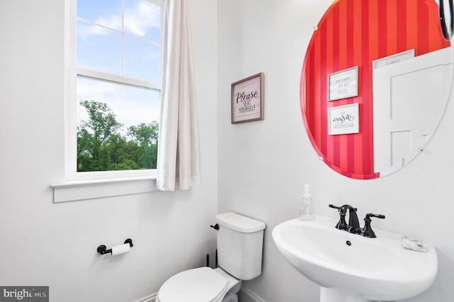 7 Compton Way, Barto, PA 19504 - half bathroom with healthy amount of natural light
