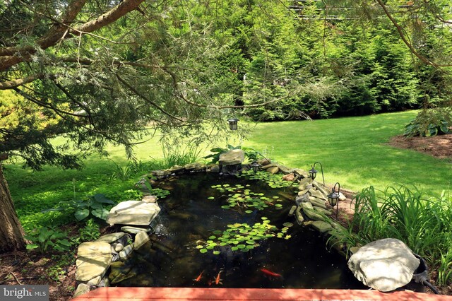 1203 Old Boalsburg Rd, State College, PA 16801 - view of grassy yard with a garden pond