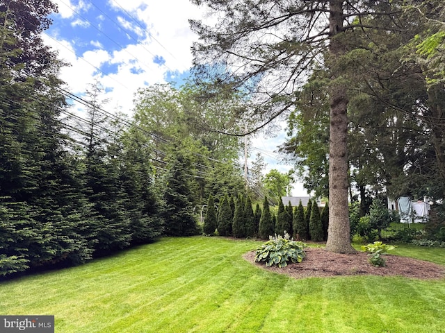 1203 Old Boalsburg Rd, State College, PA 16801 - view of green lawn