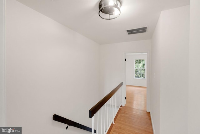 1951 Flowering Tree Ter, Silver Spring, MD 20902 - hall with an upstairs landing and light wood-style flooring