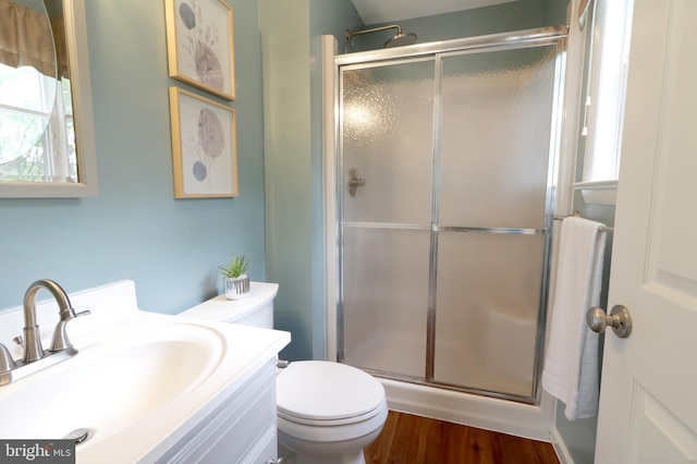 1239 Circleville Rd, State College, PA 16803 - bathroom with an enclosed shower, vanity, and wood finished floors