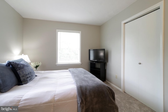 1239 Circleville Rd, State College, PA 16803 - bedroom featuring carpet floors and baseboards