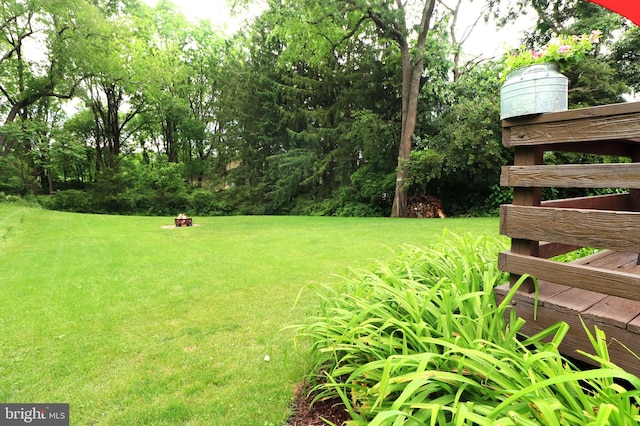 1239 Circleville Rd, State College, PA 16803 - view of green lawn