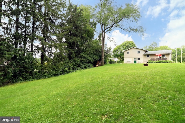 1239 Circleville Rd, State College, PA 16803 - view of grassy yard