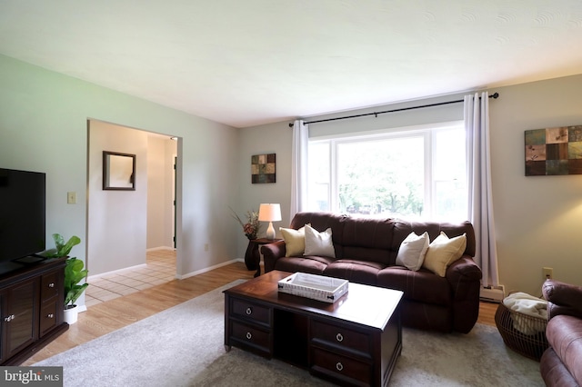 1239 Circleville Rd, State College, PA 16803 - living area featuring baseboard heating
