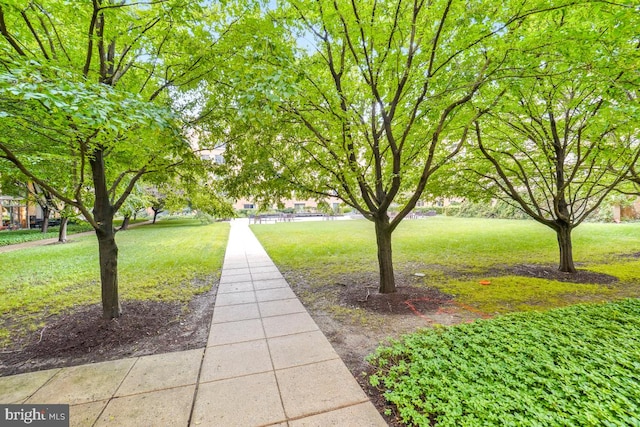 475 K St NW Unit 522, Washington, DC 20001 - surrounding community featuring a lawn