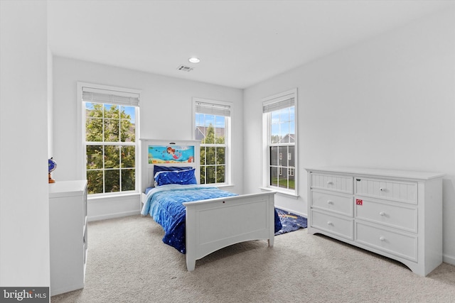 217 Hoke Farm Way, Mechanicsburg, PA 17050 - bedroom featuring carpet floors and recessed lighting