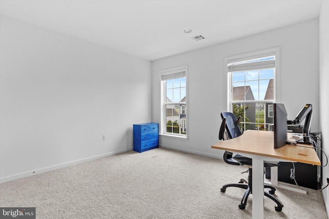 217 Hoke Farm Way, Mechanicsburg, PA 17050 - office with carpet floors and baseboards