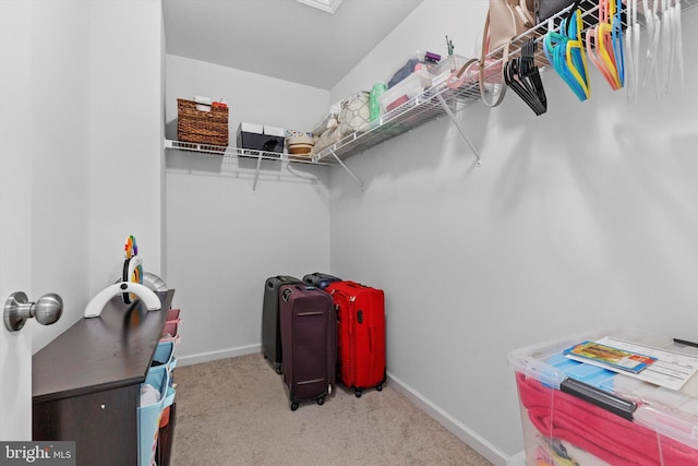 217 Hoke Farm Way, Mechanicsburg, PA 17050 - spacious closet featuring carpet flooring