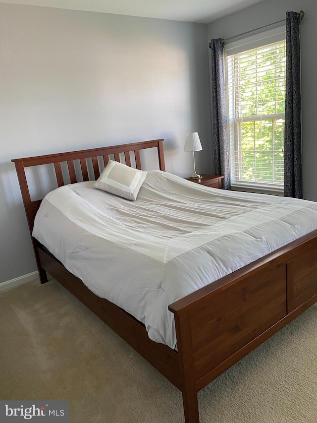 8930 Shadia Pl, Manassas, VA 20110 - bedroom with carpet floors and baseboards