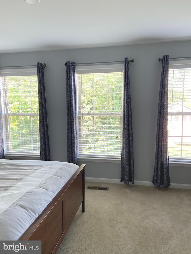 8930 Shadia Pl, Manassas, VA 20110 - bedroom with multiple windows and light colored carpet