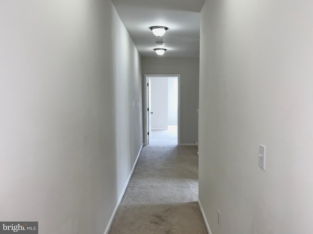115 W Sharpnack St, Philadelphia, PA 19119 - hallway featuring carpet floors and baseboards