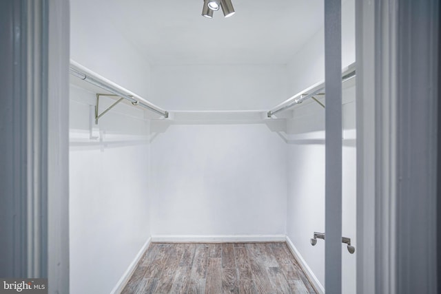 1651 Hugo Cir, Silver Spring, MD 20906 - spacious closet with wood finished floors