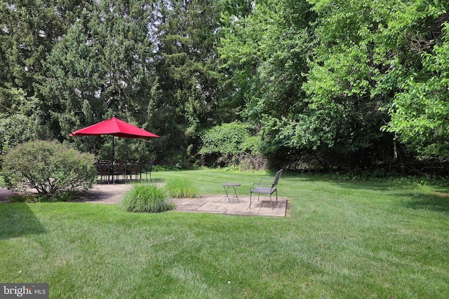 9 Morningside Dr, Pennington, NJ 08534 - view of grassy yard featuring a patio