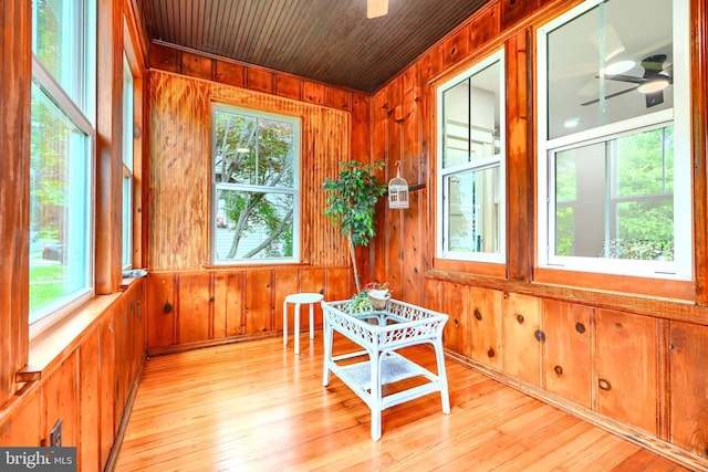 2721 Louise Ave, Baltimore, MD 21214 - sunroom featuring healthy amount of natural light
