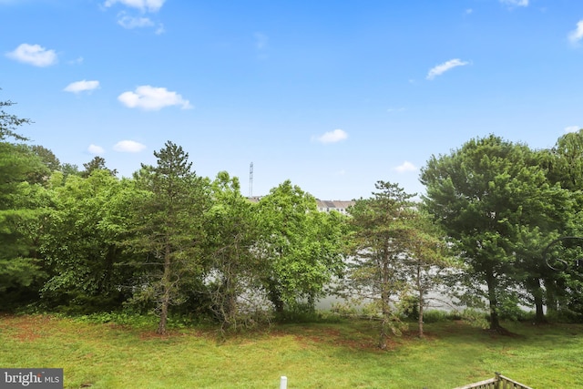 21024 Mossy Glen Ter, Ashburn, VA 20147 - view of yard