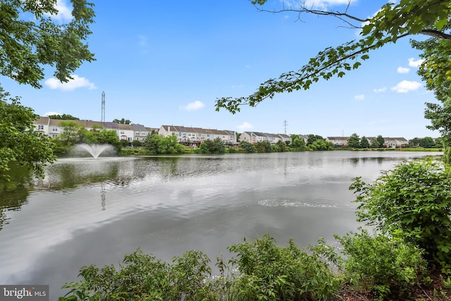 21024 Mossy Glen Ter, Ashburn, VA 20147 - water view