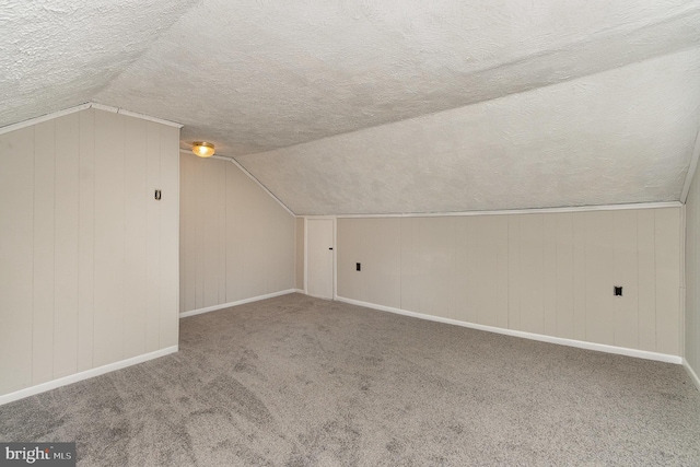 324 N 2nd St, Lykens, PA 17048 - additional living space featuring a textured ceiling, lofted ceiling, and carpet floors