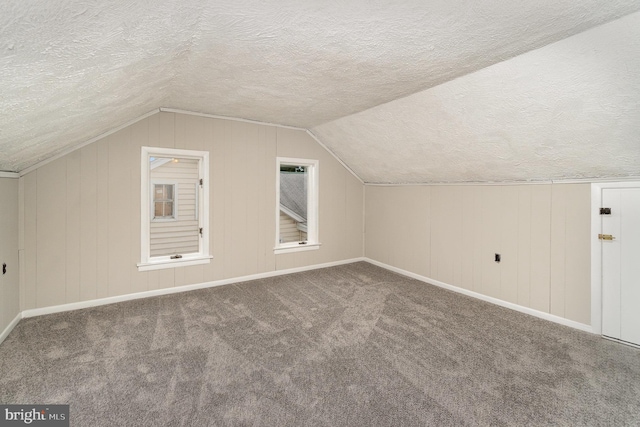 324 N 2nd St, Lykens, PA 17048 - additional living space featuring a textured ceiling, carpet flooring, and vaulted ceiling