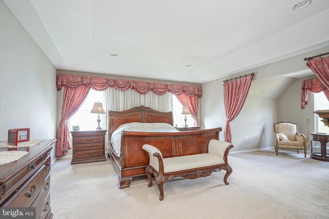 8 Cove Ct, Hainesport, NJ 08036 - bedroom with light carpet and a raised ceiling