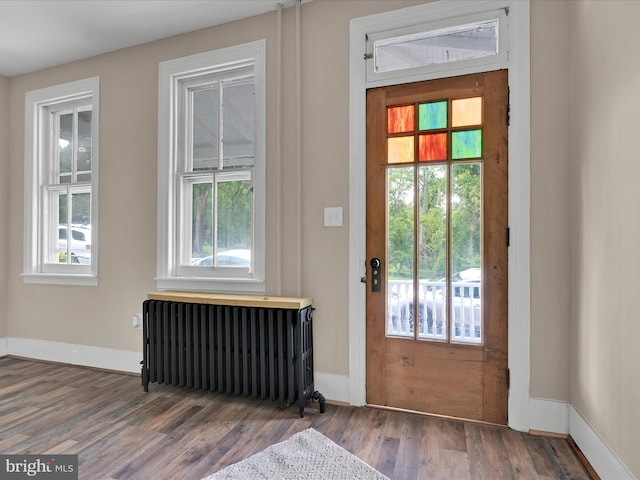 221 Orchard St, Auburn, PA 17922 - entryway featuring radiator, wood finished floors, and plenty of natural light